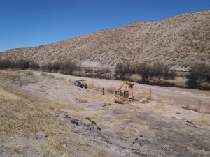 Broad Canyon planting, March 2014