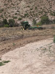 Broad Canyon grass seeding in upper terrace, May 2017