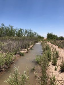 Crow Canyon B irrigation USFWS, June 2019